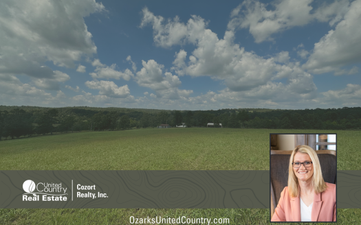 photo for a land for sale property for 24078-88710-Mammoth Spring-Arkansas
