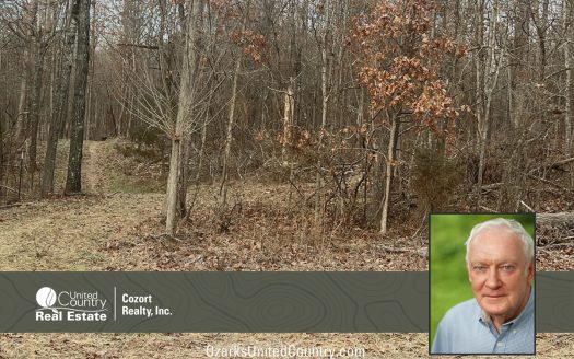 photo for a land for sale property for 24078-92160-Mammoth Spring-Arkansas