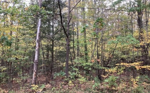 photo for a land for sale property for 31053-61663-Marathon-New York
