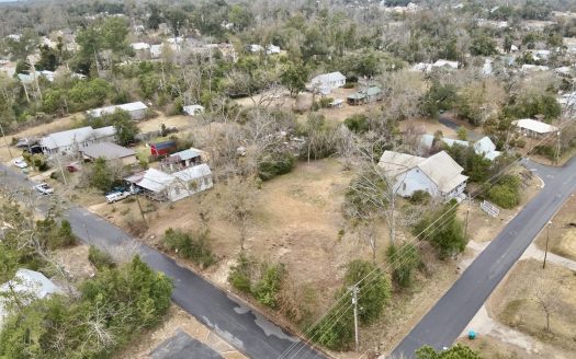photo for a land for sale property for 01030-42830-Marianna-Florida