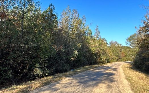 photo for a land for sale property for 03019-03901-Marion-Louisiana