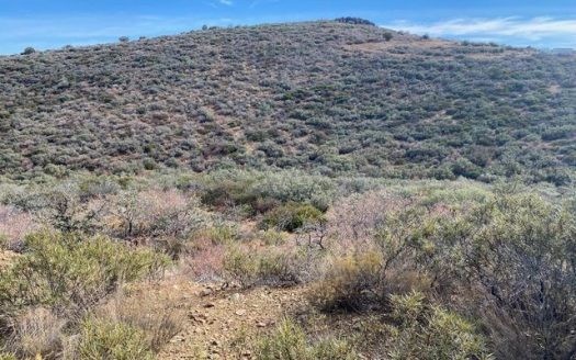photo for a land for sale property for 02036-22398-Mayer-Arizona