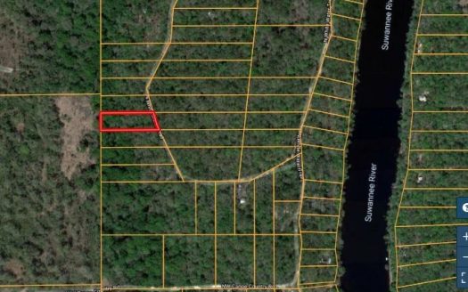 photo for a land for sale property for 09090-10932-Mayo-Florida