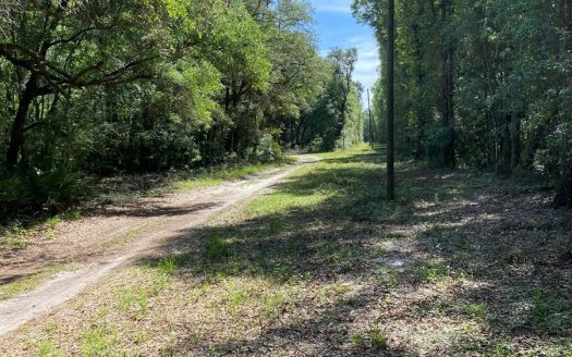 photo for a land for sale property for 09090-10994-Mayo-Florida