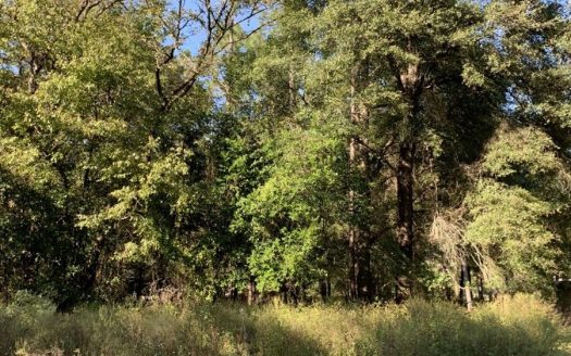 photo for a land for sale property for 09090-20199-Mayo-Florida