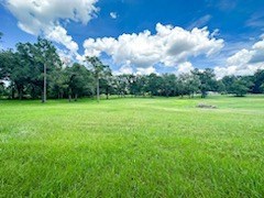 photo for a land for sale property for 09090-20313-Mayo-Florida