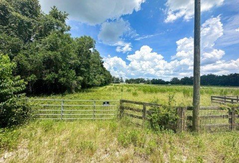 photo for a land for sale property for 09090-20318-Mayo-Florida