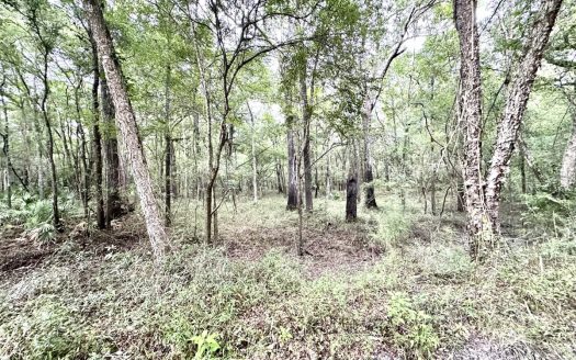photo for a land for sale property for 09090-20545-Mayo-Florida