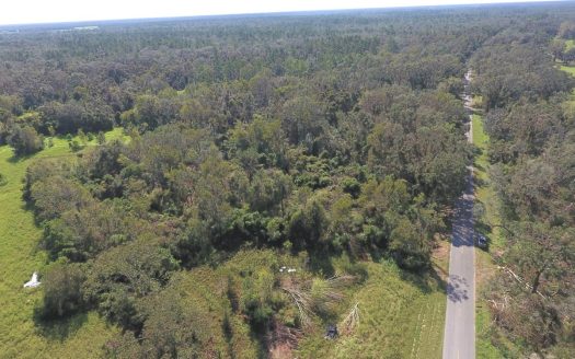 photo for a land for sale property for 09090-20997-Mayo-Florida