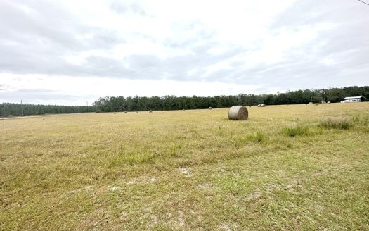 photo for a land for sale property for 09090-21636-Mayo-Florida