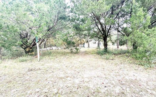 photo for a land for sale property for 09090-21778-Mayo-Florida