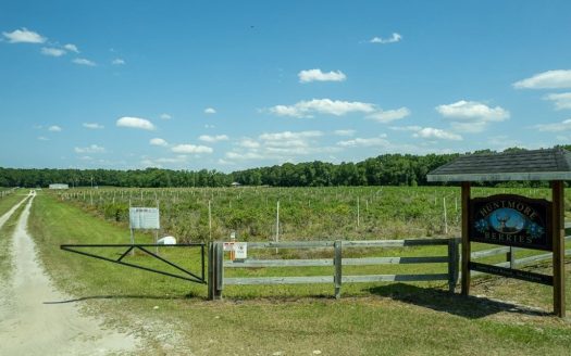 photo for a land for sale property for 09090-11840-McAlpin-Florida