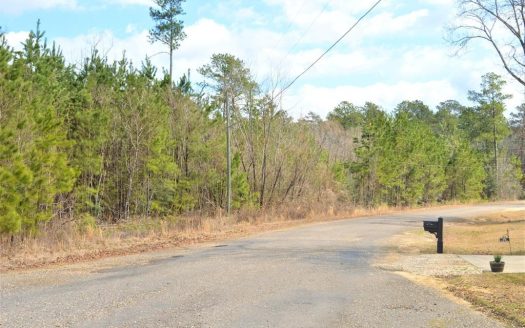 photo for a land for sale property for 23042-34019-McComb-Mississippi