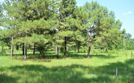 photo for a land for sale property for 23042-38675-McComb-Mississippi