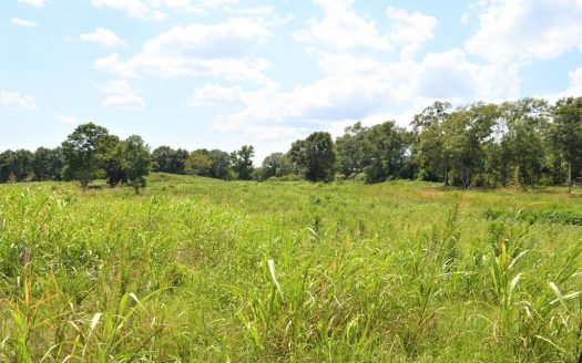 photo for a land for sale property for 23042-38684-McComb-Mississippi