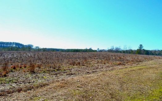 photo for a land for sale property for 23042-40654-McComb-Mississippi