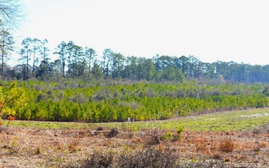 photo for a land for sale property for 23042-40668-McComb-Mississippi