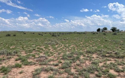 photo for a land for sale property for 30050-30941-McIntosh-New Mexico