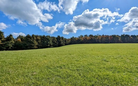 photo for a land for sale property for 45038-93444-Meadows of Dan-Virginia