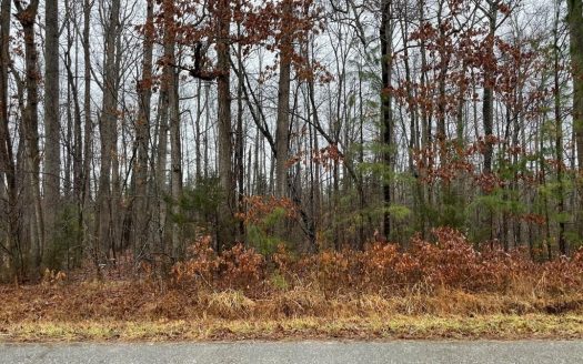 photo for a land for sale property for 45007-68100-Meherrin-Virginia