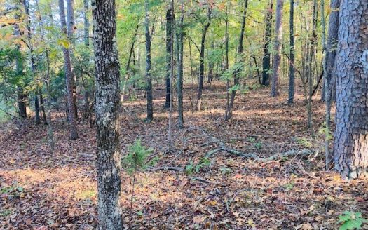 photo for a land for sale property for 03061-60640-Melbourne-Arkansas