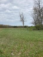 photo for a land for sale property for 21017-23435-Mesick-Michigan