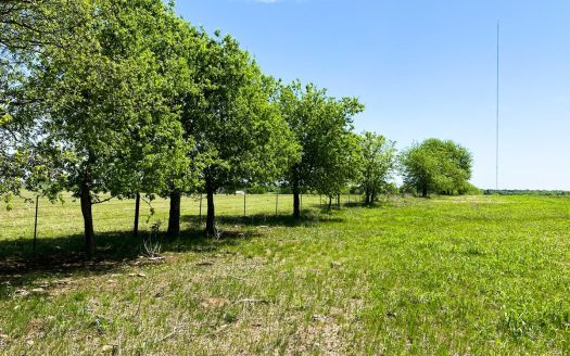 photo for a land for sale property for 42255-20130-Moody-Texas