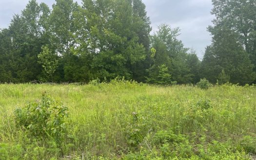 photo for a land for sale property for 16058-23085-Morgantown-Kentucky