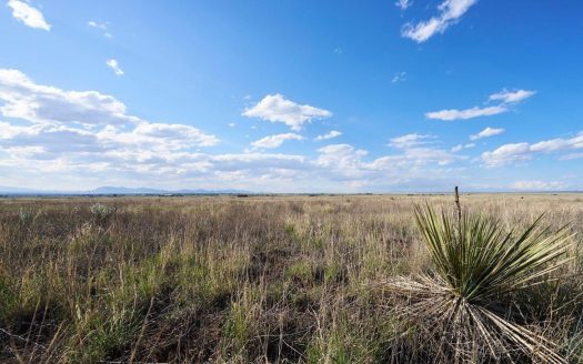 photo for a land for sale property for 30050-41676-Moriarty-New Mexico