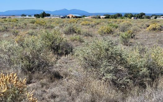 photo for a land for sale property for 30050-43103-Moriarty-New Mexico