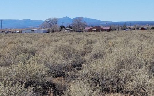 photo for a land for sale property for 30050-81734-Moriarty-New Mexico