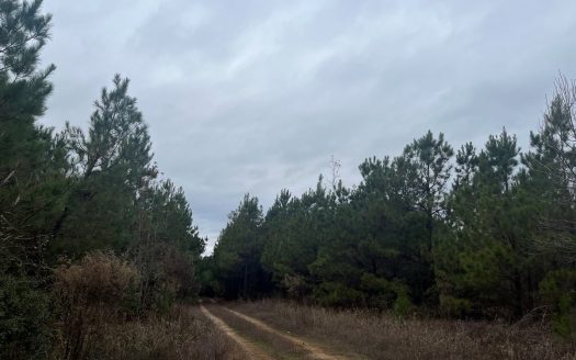 photo for a land for sale property for 03019-03875-Morris-Arkansas