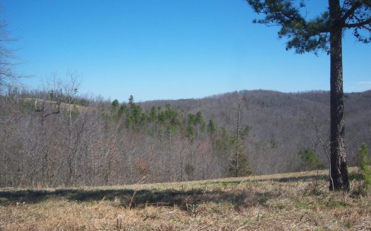 photo for a land for sale property for 03086-01910-Mountain View-Arkansas