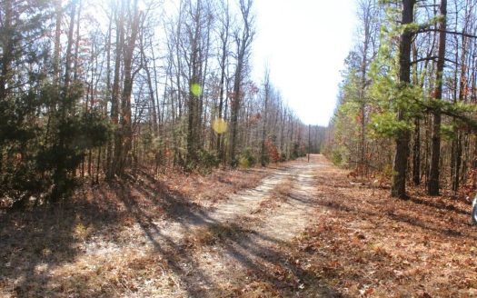 photo for a land for sale property for 03086-02348-Mountain View-Arkansas