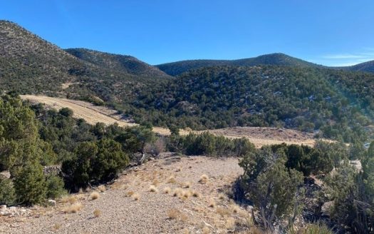 photo for a land for sale property for 30050-53985-Mountainair-New Mexico
