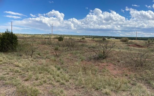 photo for a land for sale property for 30050-41964-Newkirk-New Mexico