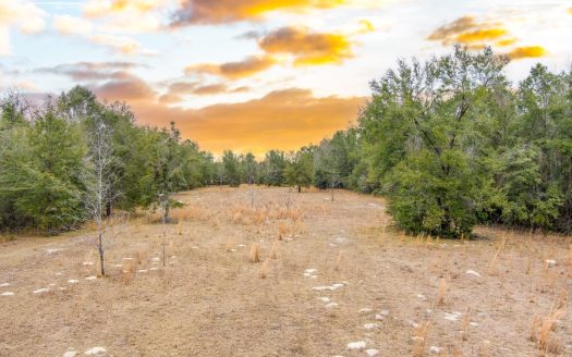 photo for a land for sale property for 09090-22228-O'Brien-Florida