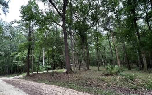 photo for a land for sale property for 09090-86414-O'Brien-Florida