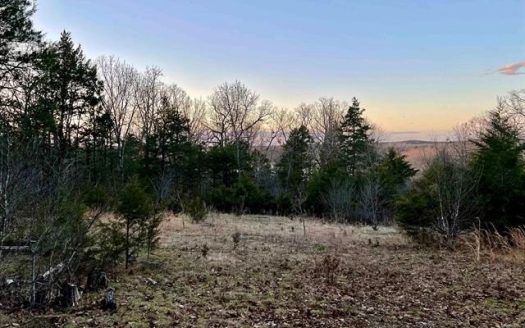photo for a land for sale property for 03098-71370-Oakland-Arkansas