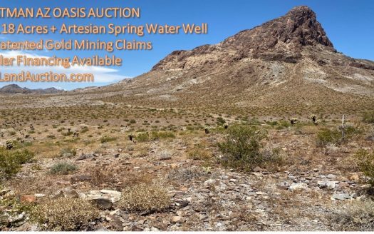 photo for a land for sale property for 02033-05005-Oatman-Arizona