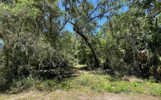photo for a land for sale property for 09090-89688-Old Town-Florida