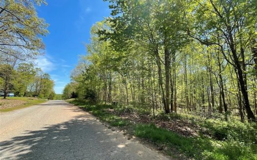 photo for a land for sale property for 32121-27000-Olin-North Carolina