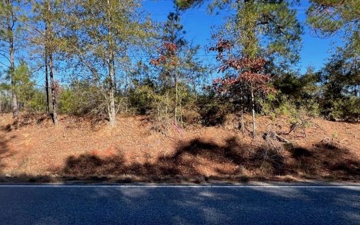 photo for a land for sale property for 23042-40500-Osyka-Mississippi