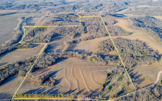 photo for a land for sale property for 24161-35177-Otterville-Missouri