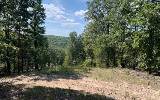 photo for a land for sale property for 03098-71160-Peel-Arkansas