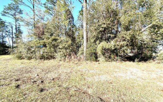 photo for a land for sale property for 09090-21951-Perry-Florida