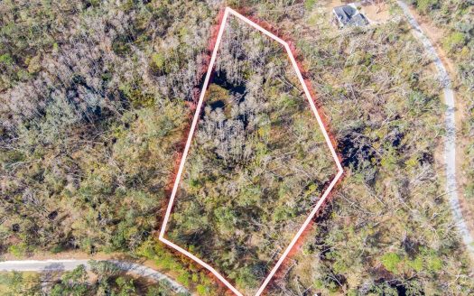 photo for a land for sale property for 09090-22167-Perry-Florida