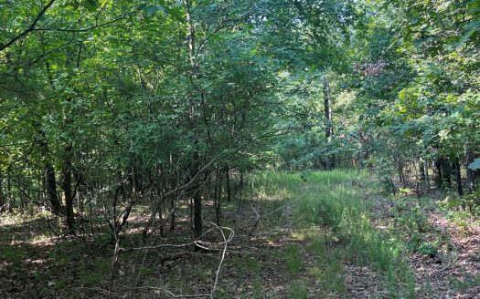 photo for a land for sale property for 24086-38678-Piedmont-Missouri