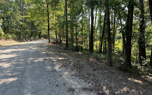 photo for a land for sale property for 41060-05246-Pocahontas-Tennessee