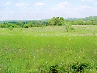 photo for a land for sale property for 24084-49860-Pomona-Missouri